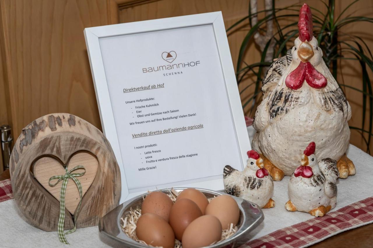 Apartament Baumannhof Schenna Zewnętrze zdjęcie